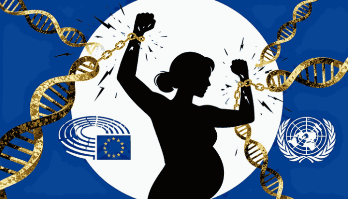 resolución parlamento europeo